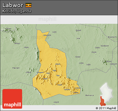 Savanna Style 3D Map of Labwor