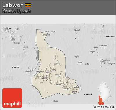 Shaded Relief 3D Map of Labwor, desaturated