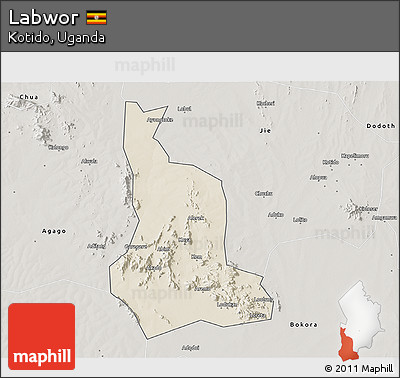 Shaded Relief 3D Map of Labwor, semi-desaturated