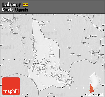 Silver Style Map of Labwor