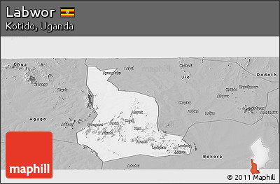 Gray Panoramic Map of Labwor