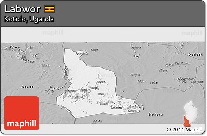 Gray Panoramic Map of Labwor