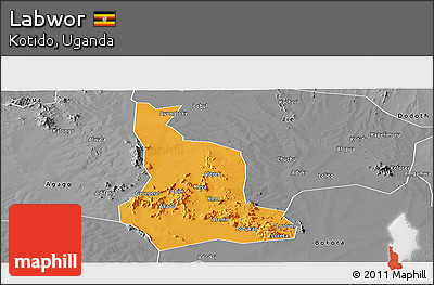 Political Panoramic Map of Labwor, desaturated
