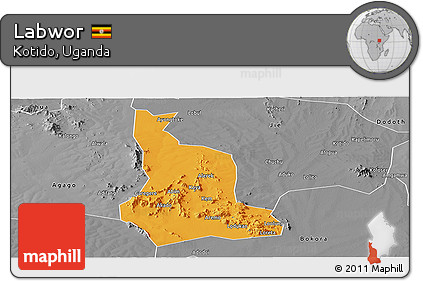 Political Panoramic Map of Labwor, desaturated