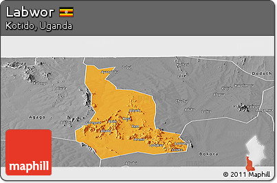 Political Panoramic Map of Labwor, desaturated