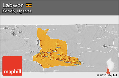Political Panoramic Map of Labwor, lighten, desaturated