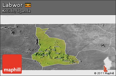 Satellite Panoramic Map of Labwor, desaturated