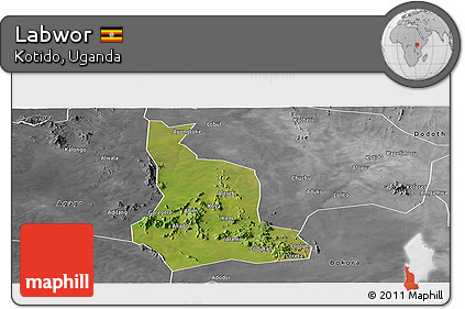 Satellite Panoramic Map of Labwor, desaturated
