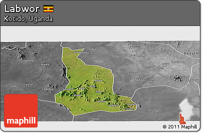 Satellite Panoramic Map of Labwor, desaturated