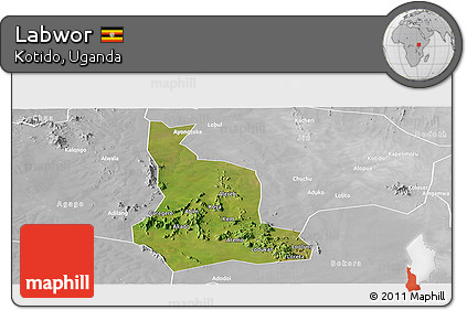 Satellite Panoramic Map of Labwor, lighten, desaturated
