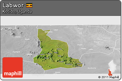 Satellite Panoramic Map of Labwor, lighten, desaturated