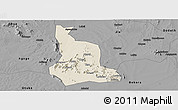 Shaded Relief Panoramic Map of Labwor, darken, desaturated