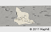 Shaded Relief Panoramic Map of Labwor, darken, semi-desaturated