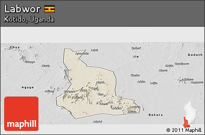 Shaded Relief Panoramic Map of Labwor, desaturated