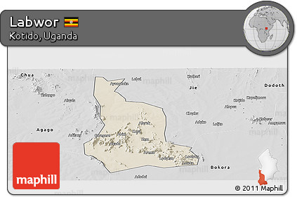 Shaded Relief Panoramic Map of Labwor, desaturated