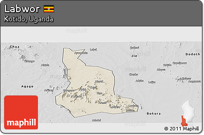 Shaded Relief Panoramic Map of Labwor, desaturated