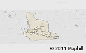 Shaded Relief Panoramic Map of Labwor, lighten, desaturated