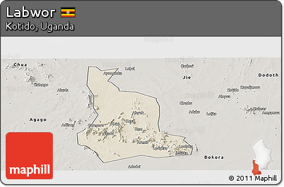 Shaded Relief Panoramic Map of Labwor, semi-desaturated