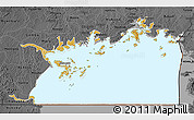 Physical 3D Map of Lake Victoria, darken, desaturated