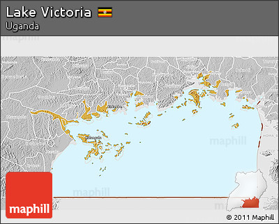 Physical 3D Map of Lake Victoria, lighten, desaturated