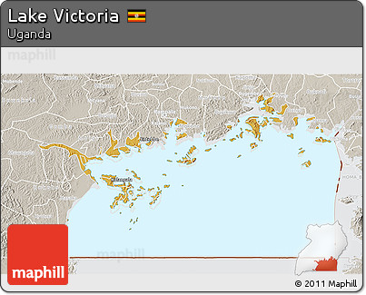 Physical 3D Map of Lake Victoria, lighten, semi-desaturated