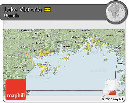 Savanna Style 3D Map of Lake Victoria