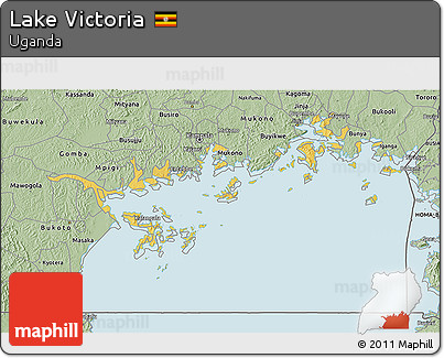 Savanna Style 3D Map of Lake Victoria