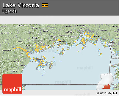 Savanna Style 3D Map of Lake Victoria