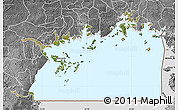 Satellite Map of Lake Victoria, desaturated