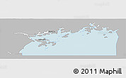 Gray Panoramic Map of Lake Victoria, single color outside