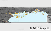 Physical Panoramic Map of Lake Victoria, darken, desaturated