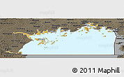 Physical Panoramic Map of Lake Victoria, darken, semi-desaturated