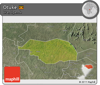 Satellite 3D Map of Otuke, semi-desaturated