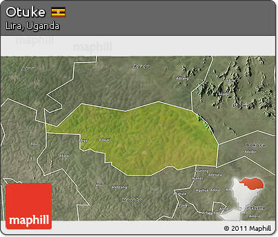 Satellite 3D Map of Otuke, semi-desaturated