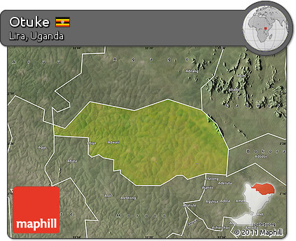 Satellite Map of Otuke, semi-desaturated