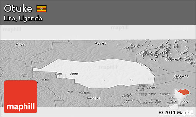 Gray Panoramic Map of Otuke