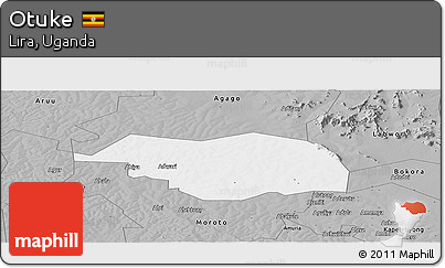 Gray Panoramic Map of Otuke