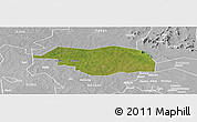 Satellite Panoramic Map of Otuke, lighten, desaturated