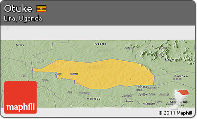 Savanna Style Panoramic Map of Otuke