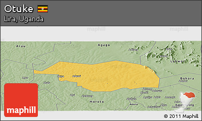 Savanna Style Panoramic Map of Otuke