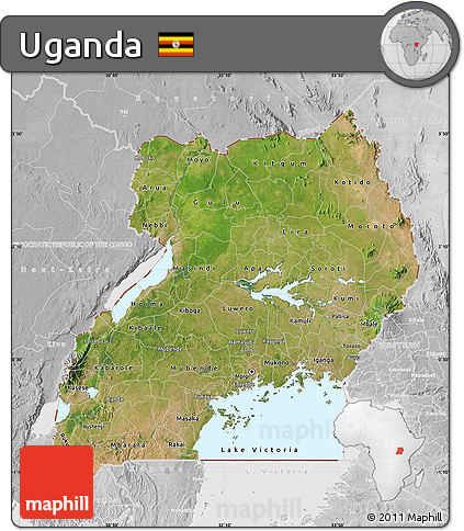 Satellite Map of Uganda, lighten, desaturated