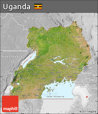 Satellite Map of Uganda, lighten, desaturated