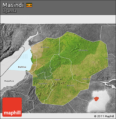 Satellite 3D Map of Masindi, desaturated