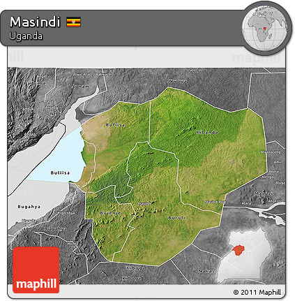 Satellite 3D Map of Masindi, desaturated