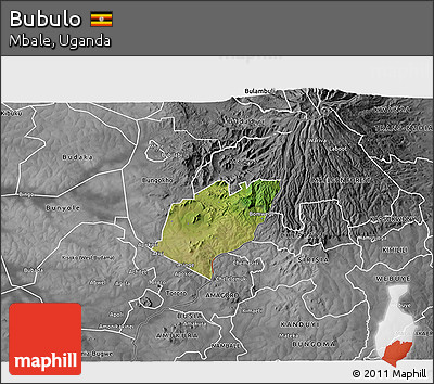 Satellite 3D Map of Bubulo, desaturated
