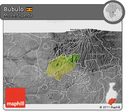Satellite 3D Map of Bubulo, desaturated