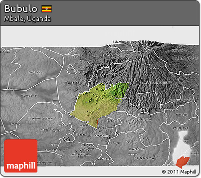 Satellite 3D Map of Bubulo, desaturated