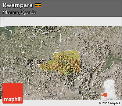Satellite 3D Map of Rwampara, semi-desaturated