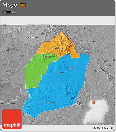 Political 3D Map of Moyo, desaturated