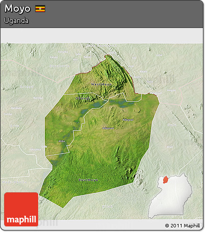 Satellite 3D Map of Moyo, lighten